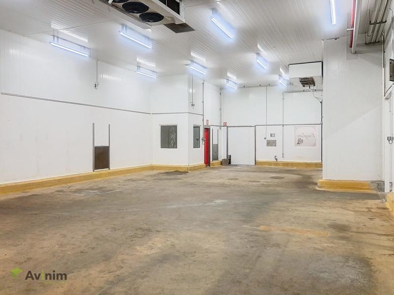 Local d'activités - 615 m²