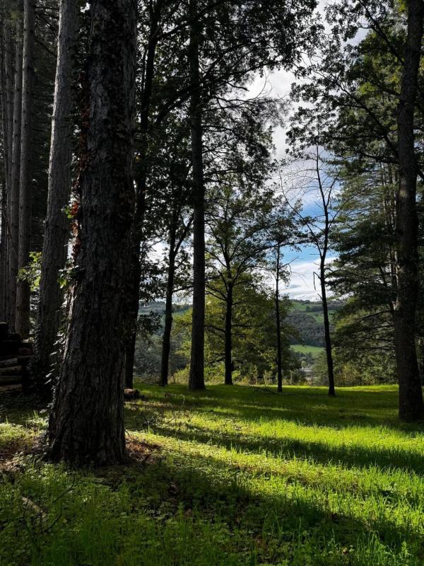 Maison de campagne - 290 m² - 6 pièces