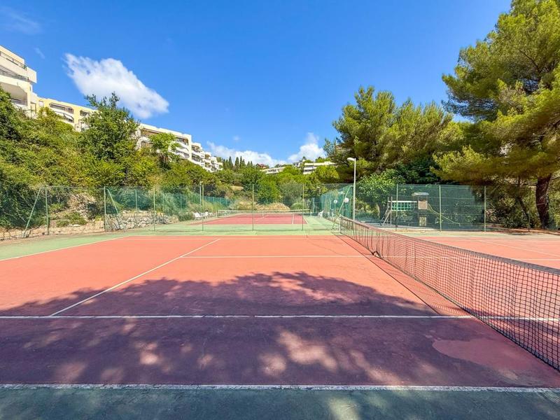 Studio - 31 m² - 1 pièce