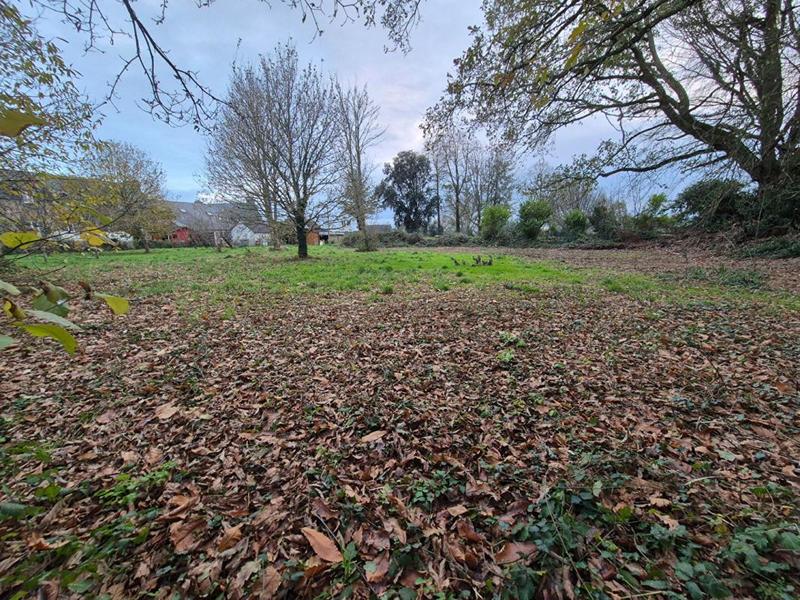 Terrain constructible - 2 946 m²