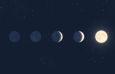 Atelier scientifique - Comprendre les phases de la Lune