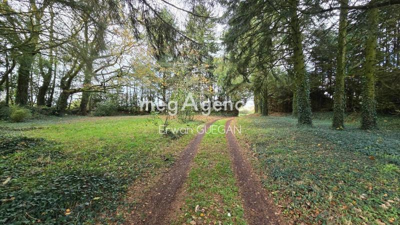 Maison - 265 m² - 11 pièces