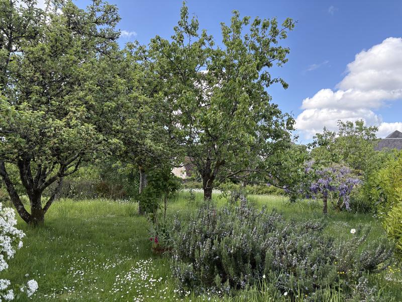 Maison ancienne - 100 m² - 4 pièces