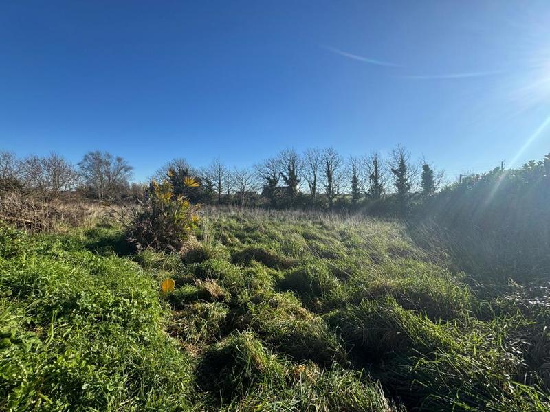 Maison - 175 m² - 8 pièces