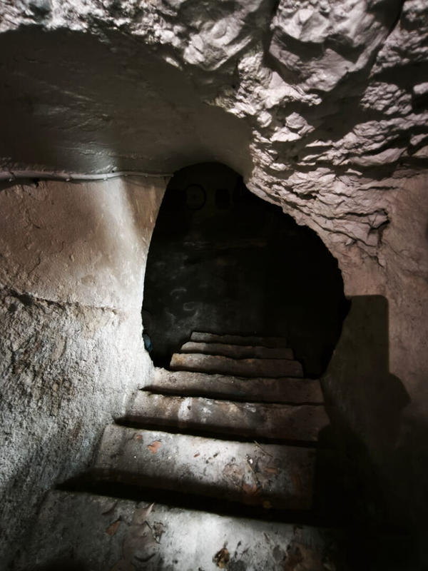 Local d'activité / Entrepôt - 96 m² - 2 pièces