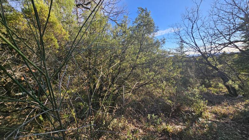 Terrain - 24 790 m²