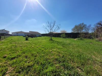 Terrain constructible - 1 242 m²