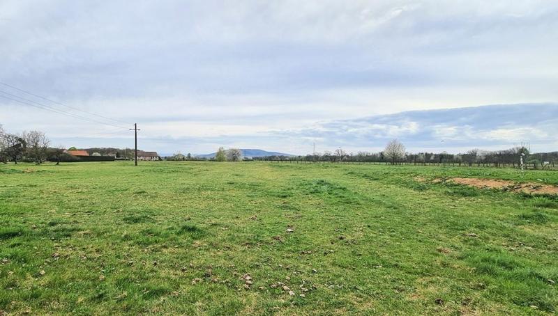 Terrain constructible - 1 175 m²