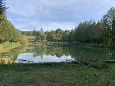 Terrain - 16 926 m²