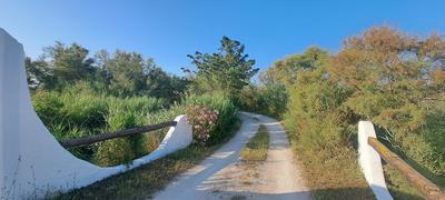 Propriété - 270 m² - 12 pièces