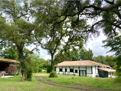 Propriété - 320 m² - 10 pièces