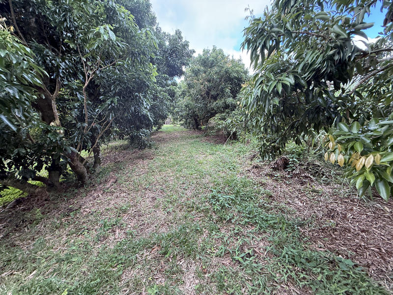 Propriété - 245 m² - 9 pièces