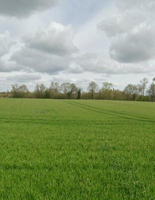 Terrain constructible - 452 m²