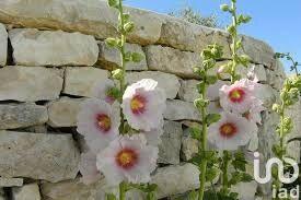 Maison - 41 m² - 2 pièces