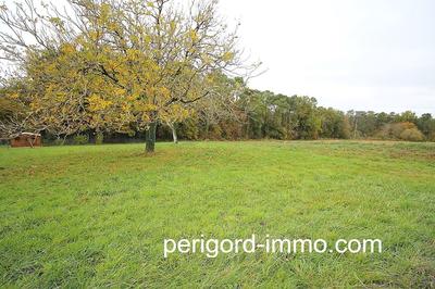 Terrain - 3 500 m²