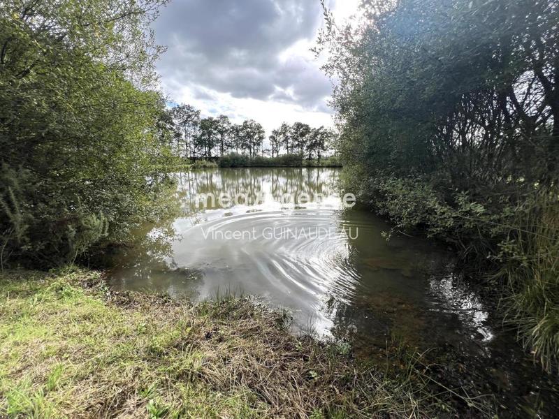 Terrain de loisirs - 12 539 m²