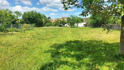 Terrain - 790 m²