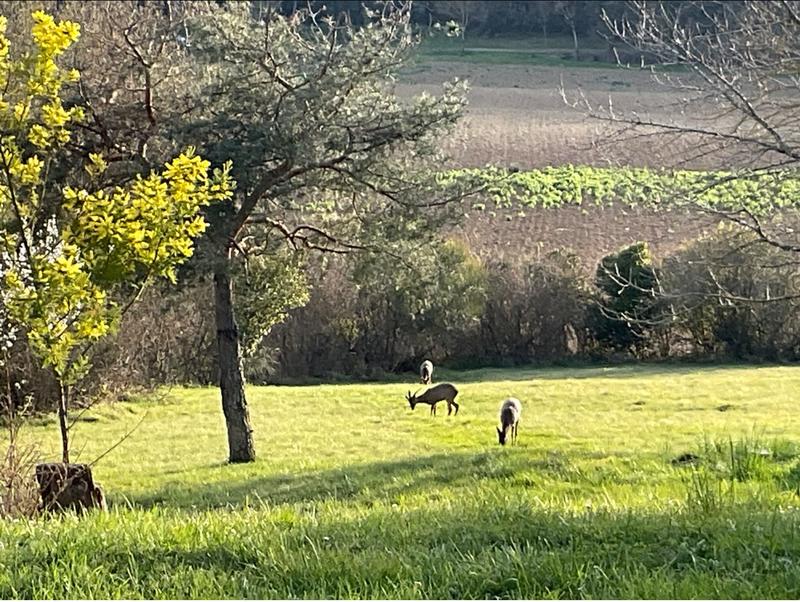 Maison - 227 m² - 7 pièces