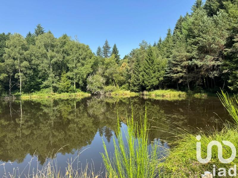 Terrain - 30 452 m²