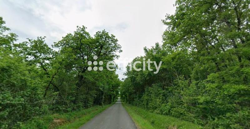 Maison - 201 m² - 7 pièces