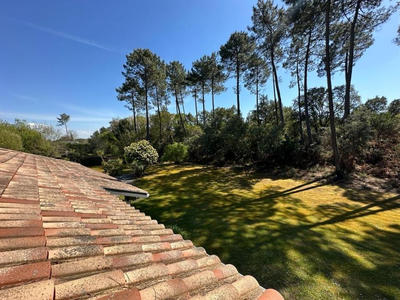 Villa - 360 m² - 8 pièces