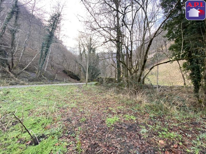 Grange - 66 m² - 2 pièces