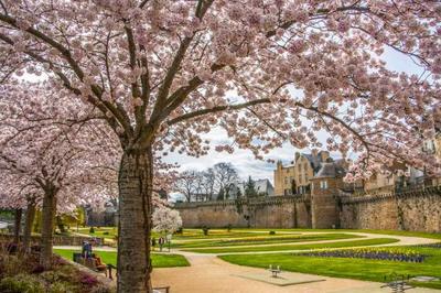 Local commercial - 50 m² - 2 pièces