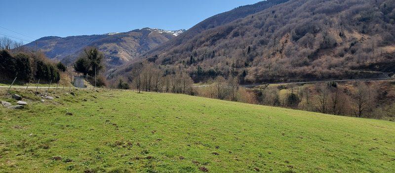 Ferme - 52 m² - 3 pièces