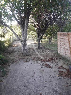 Maison - 43 m² - 2 pièces