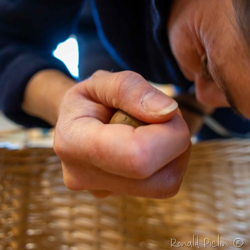 Ateliers de vannerie pour adultes