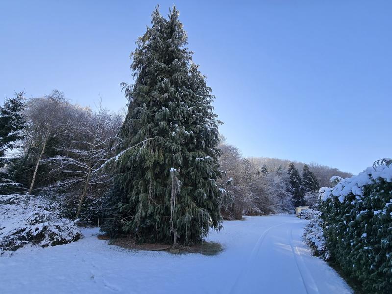 Maison ancienne - 122 m² - 6 pièces