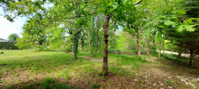 Terrain constructible - 728 m²