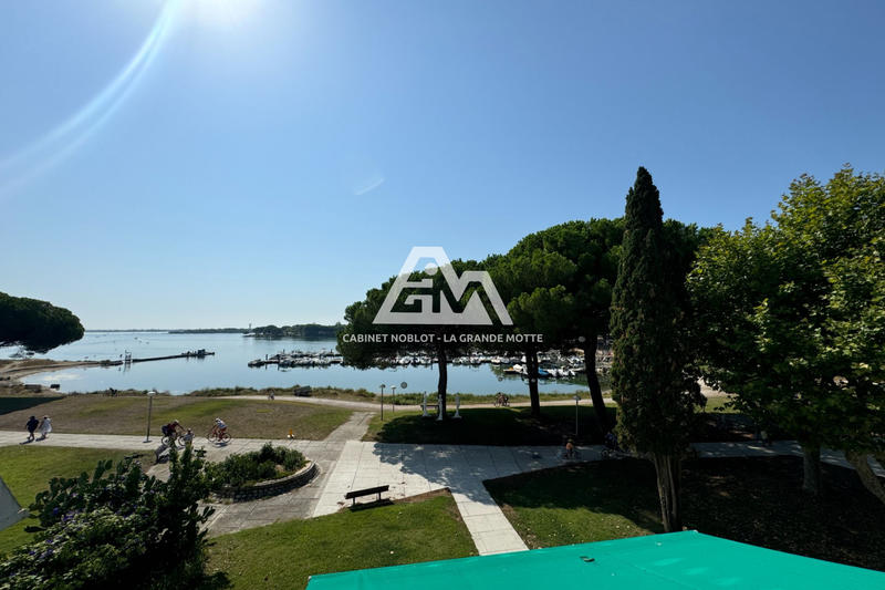 Viager - Appartement - 30 m² - 2 pièces