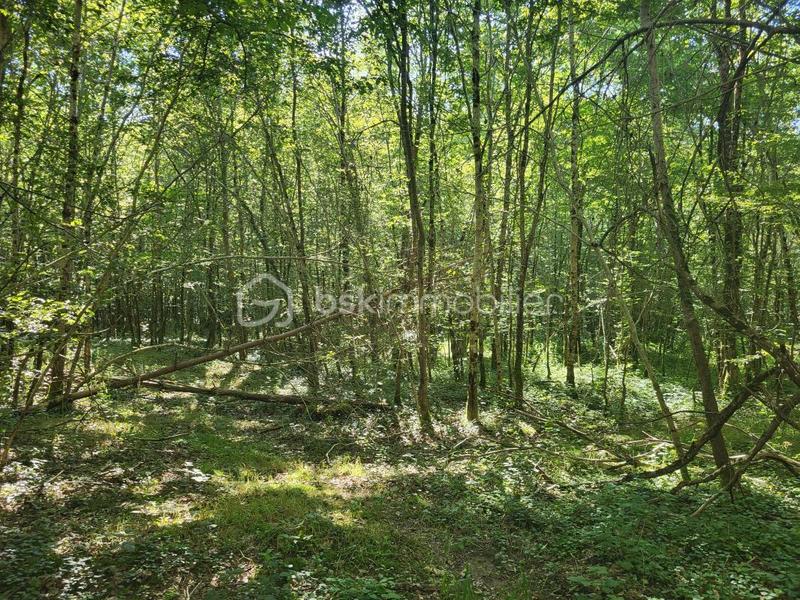 Terrain agricole - 107 573 m²