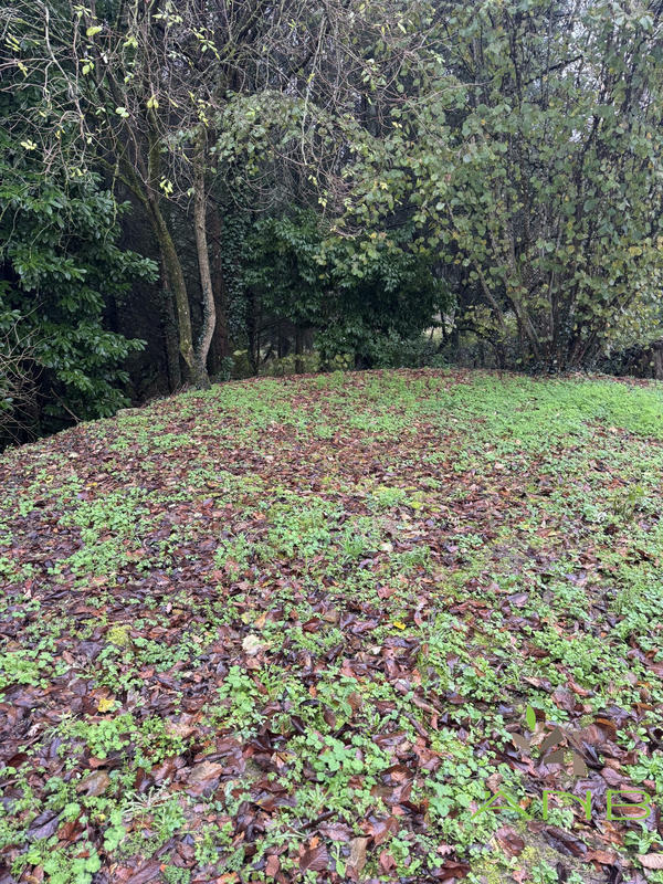 Maison ancienne - 106 m² - 4 pièces