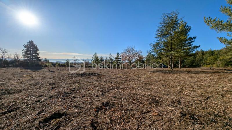 Terrain - 8 009 m²