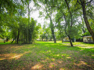 Local commercial - 10 000 m² - 10 pièces