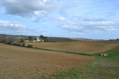 Terrain - 300 000 m²