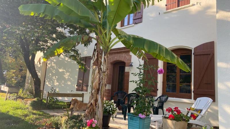 Maison de maîtres - 290 m² - 8 pièces