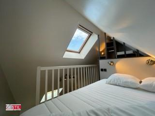 Duplex - 23 m² - 1 pièce