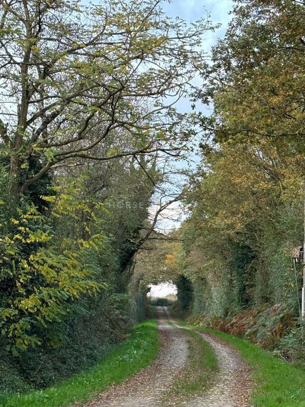 Gîte - 191 m² - 7 pièces