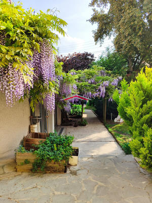 Maison - 127 m² - 7 pièces