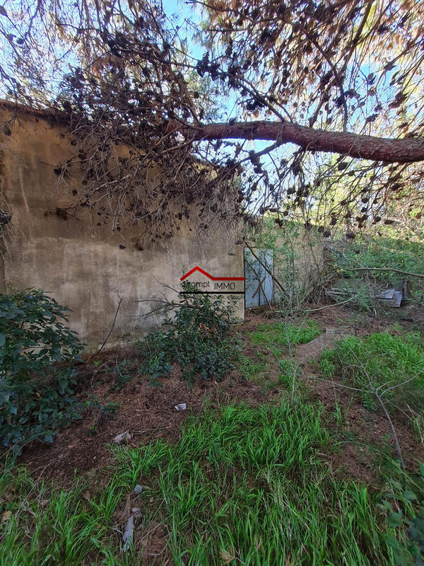 Terrain agricole - 5 730 m²