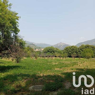 Terrain - 11 771 m²