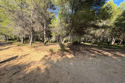 Terrain de loisirs - 5 245 m²