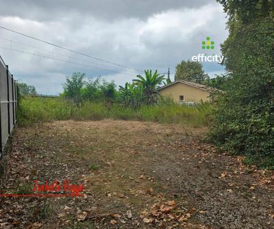 Terrain - 564 m²