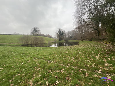 Terrain de loisirs - 5 735 m²