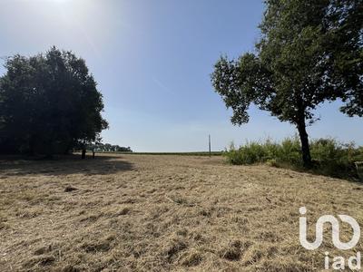 Terrain - 11 204 m²