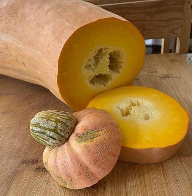 Ferme de Bretonvilliers