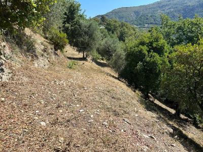 Terrain - 1 403 m²